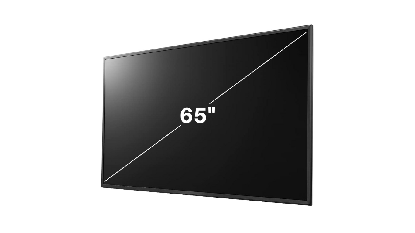 65” TV Screen